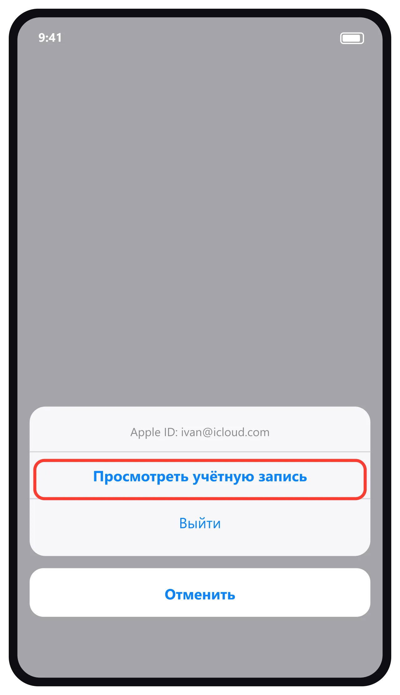 Всплывающее меню — Просмотреть учётную запись